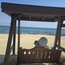 강릉멍릉도원애견펜션 이미지