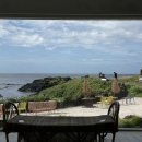 제주 알모 | [제주] 카페 아주르블루, 카페보알모알 방문후기