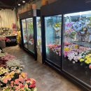 운정블라썸꽃집 이미지