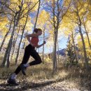 황제 쑥뜸 이미지