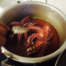 그집이야기펜션 이미지