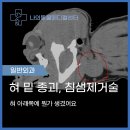 내품에 강아지 | 일요일에도 진료 가능한 강릉 동물병원 강아지 혀 밑 혹 수술 후기