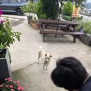 바른고기여수소호점 | [여수 맛집] 항아리에서 구워 육즙 폭발! 여수 용주리항아리바베큐 솔직 후기