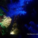 앨리스캣(Alice CAT) 이미지