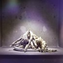 박인한의원 이미지