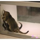 영동동물병원 이미지