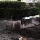 스타인터넷게임방 | 감도의 일기 (7/21~7/27)