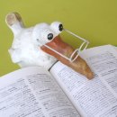 영어생활회화 이미지