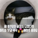 오뚝이푸드 이미지