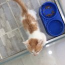 태종동물병원 이미지