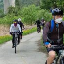 수룡봉황길 이미지