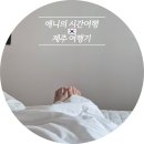 제주스테이 멀리 | 협재해수욕장 근처 반려견 동반 가능 감성 숙소 제주 협재현스테이 숙박 후기