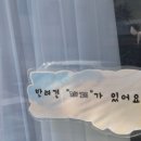 머멍찌 | 장유 머멍찌 건강하고 맛있는 김해 강아지 화식 간식 전문점