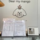 디어 마이 망고 이미지