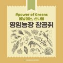 영임농장 이미지