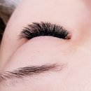 엘속눈썹 이미지