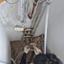 부송 우미아파트 이미지