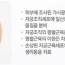 쎄븐칼라 이미지
