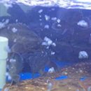 국가대표주유소 이미지