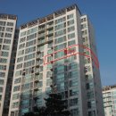 동백7로 이미지