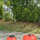 라온어린이집 | 목감 맘카페에서 후기 보고 찾아온다는 목감 라온 어린이집^^_날 좋은 날~ 공놀이죠💪🏻