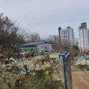 용정사 입구 이미지