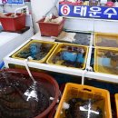 가야-6 | 경주 감포에 위치한 수협활어직판장 후기, 어느 업체가야할지 고민이라면? 6호 대운수산 추천드려요
