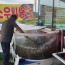 해안손칼국수 이미지