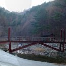 통고산자연휴양림 이미지