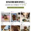 정情가네