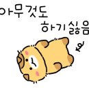 댕댕맛집 이미지