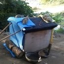 해산농장 이미지