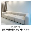 거실 쇼파 고민이면 이거 보세요 반트 푸딩모듈 4.5인 패브릭소파
