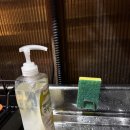 포항시남구37 | [포항] 펫 동반이 가능한 오션뷰 글램핑 숙소 풀글램핑&amp;펫글램핑 방문 후기