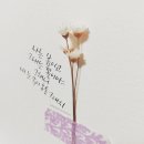 감성 캘리그라피 이미지