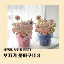 꼬뜨레 | W_안산 꽃집 꼬뜨레 첫인사 꽃 후기｜첫인사 꽃, 부모님 선물로 완벽