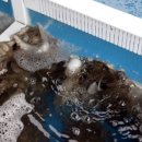 활어수산 이미지