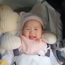 솔로그램 이미지