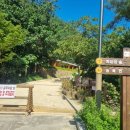 삼척활기자연휴양림 이미지