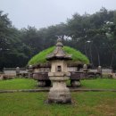 씨유 여주세종점 | 왕릉천행 후기 가성비 갑 (헌인릉+영릉/종묘+동구릉)