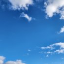 토요일오후 이미지