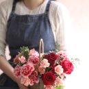 플레르다솔