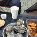 다인야영장 이미지