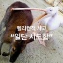 씨유 포항상도타운점 | 사막의 여름
