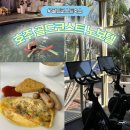 스파탕 | 호주 노보텔 서퍼스 파라다이스 ep2_조식 수영장 세탁실 헬스장 후기 (골코 가성비 호텔)