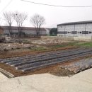 선주지동경로당 이미지