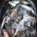 남해-318 이미지