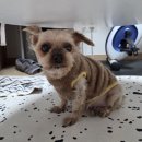 방배중앙로13길 26 (8) | 친구들이랑 망원동 30쨜 파티 그리고 빵투어 오픈런(밀로밀, 뚜떰즈업, 후와후와, 이웃집통통이)