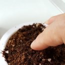 그린패밀리 이미지