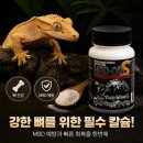 웅쓰스토어